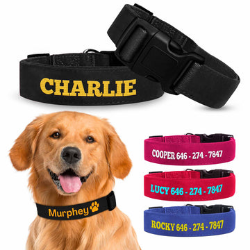 Embroidered Black Dog Collar w/ Pet Name, Black Custom Dog Collar, Customized Embroidered Pet Collar, Dog Collar, Pet Collar