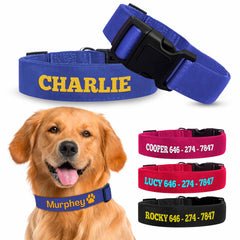 Collection image for: DOG COLLARS