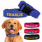 DOG COLLARS