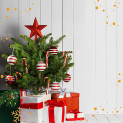 Collection image for: CHRISTMAS