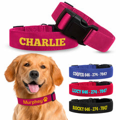 Collection image for: PET ACCESSORIES