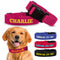 PET ACCESSORIES