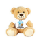 Personalized Baby Teddy Bear Custom Name Plush Keepsake