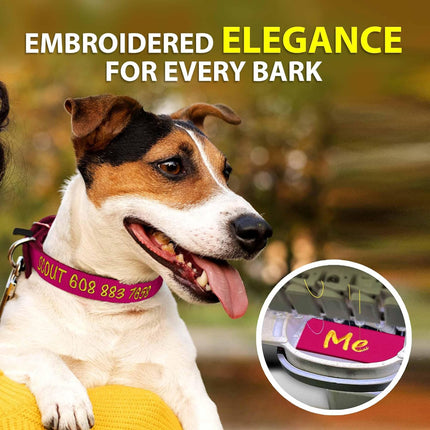 Embroidered Red Dog Collar w/ Pet Name