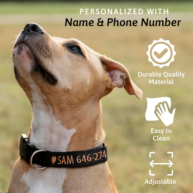 Embroidered Personalized Dog Collar with Quick Release Buckle