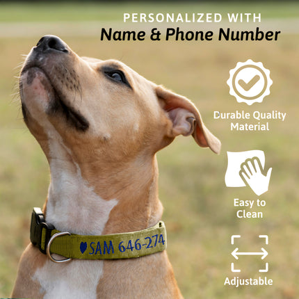Dog Collars with Name and Phone Number Adjustable