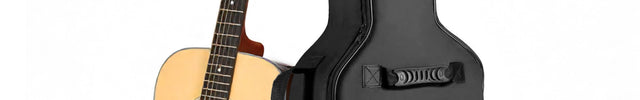 Acoustic guitar with a black case labeled 'Amelia' on a white background