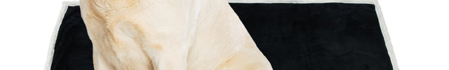 Embroidered Dog Black Blanket with Name
