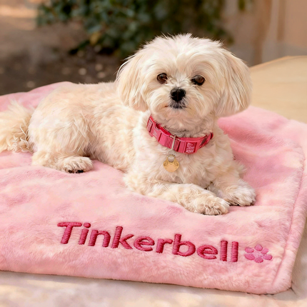 Embroidered Dog Blanket with Name