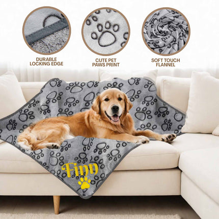 Embroidered Dog Blanket with Name
