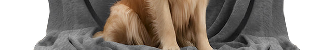 Embroidered Dog Gray Blanket with Name