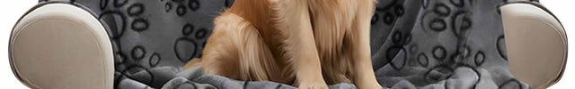 Embroidered Dog Blanket with Name