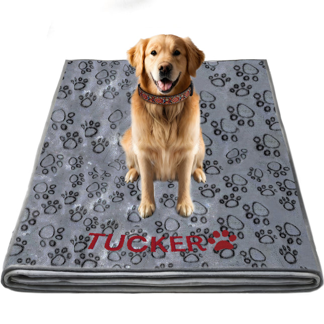 Embroidered Dog Blanket with Name