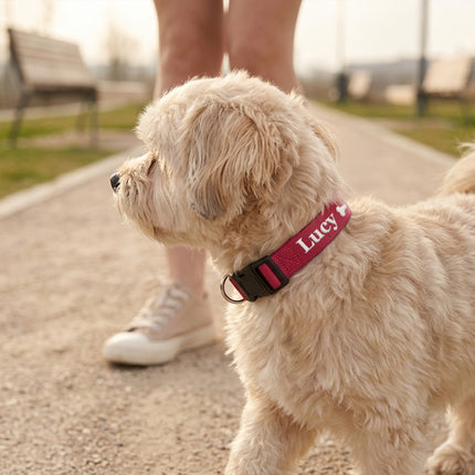 Embroidered Personalized Dog Collar with Quick Release Buckle
