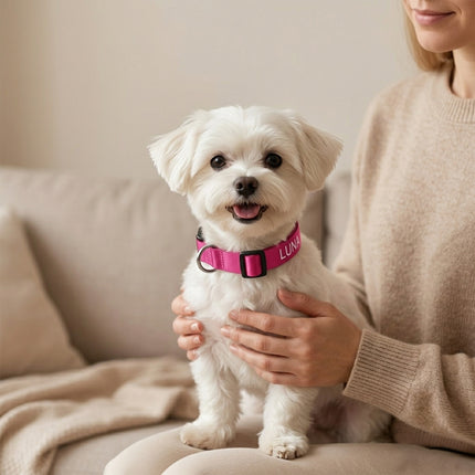 Embroidered Personalized Dog Collar with Quick Release Buckle