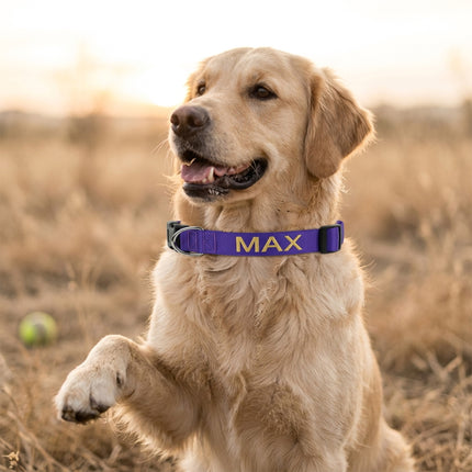 Embroidered Personalized Dog Collar with Quick Release Buckle