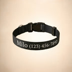 Black / Medium 12