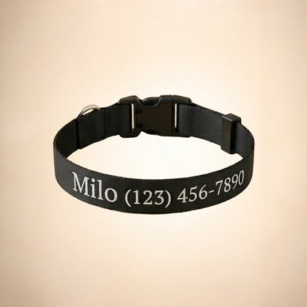 Embroidered Personalized Dog Collar with Quick Release Buckle