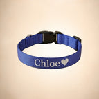 Blue / Medium 12