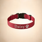 Red / Medium 12