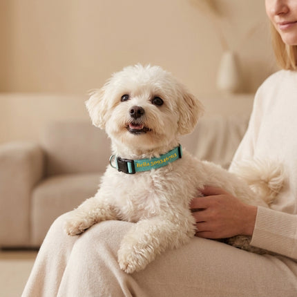 Dog Collars with Name and Phone Number Adjustable