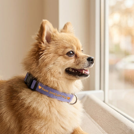 Dog Collars with Name and Phone Number Adjustable