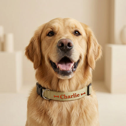 Dog Collars with Name and Phone Number Adjustable