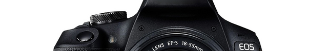 Personalized Embroidered Yellow Spring Camera Strap - Camera Strap for SLR/ DSLR