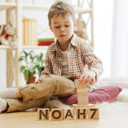 custom wooden name blocks engraved nursery name sign custom nursery decor custom name wood blocks wooden animal signs for nursery montessori decor engraved on solid wood 