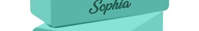 Personalized Yoga Blocks 2 Pack with Custom Design